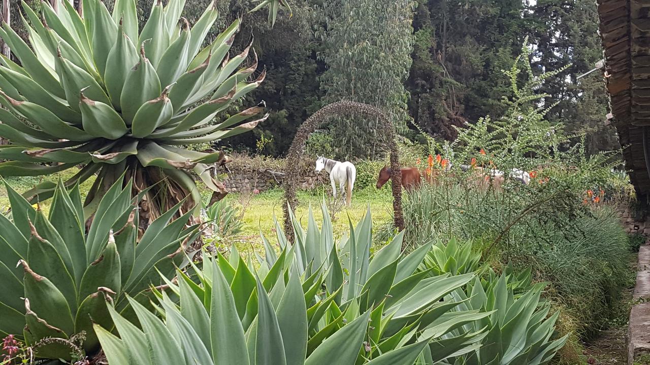 Hacienda Guachala Hotel Cayambe Bagian luar foto