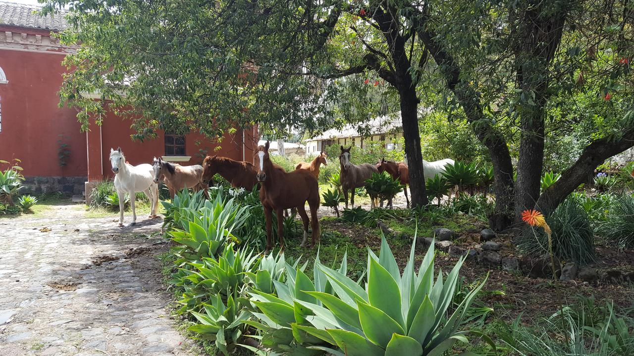 Hacienda Guachala Hotel Cayambe Bagian luar foto